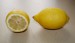 Citrus limon - Primofiori 2009